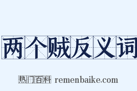 两个贼反义词是什么意思的图片